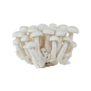 WHITE SHIMEJI MUSHROOM (CHN) C40 150G+/-