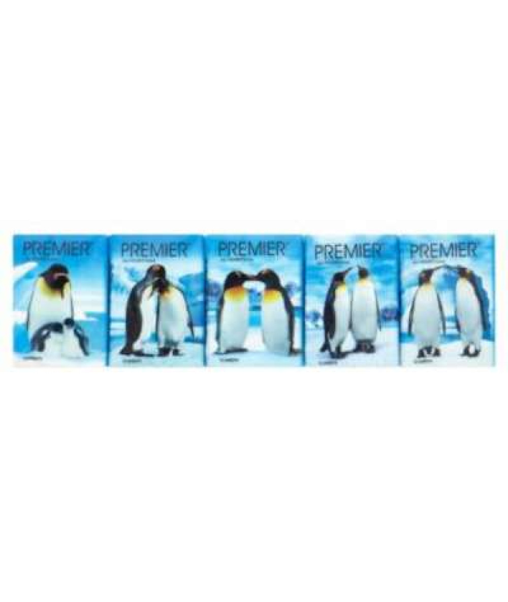 PREMIER PENGUIN POCKET TISSUE 9S SINGLE PACK