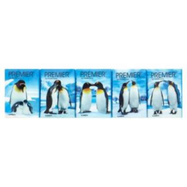 PREMIER PENGUIN POCKET TISSUE 9S SINGLE PACK