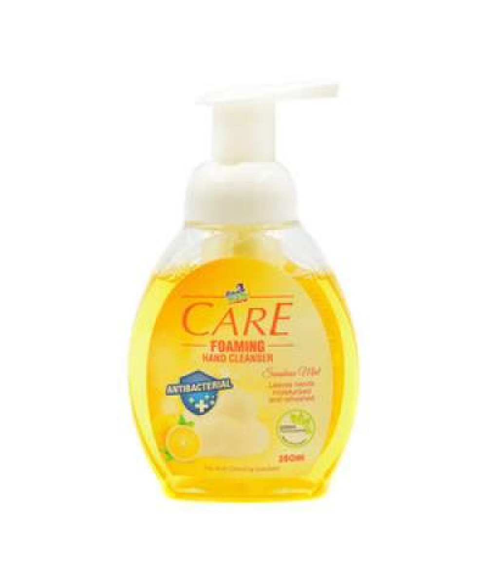 GM CARE HAND CLEANSER LEMON 500ML