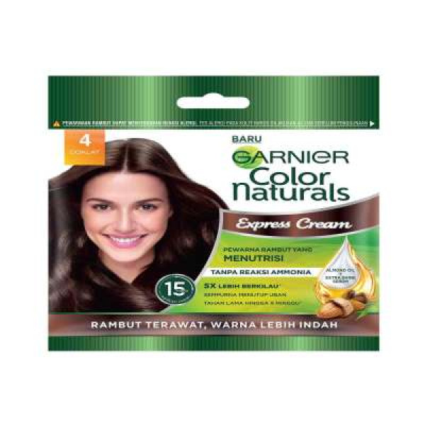 GARNIER CN EXPRESS SH 4 SRP