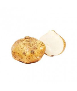 SWEET TURNIP 'SENGKUANG' /KG