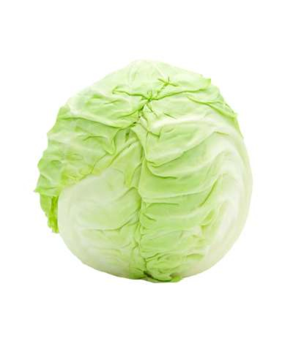 ROUND CABBAGE (CHN) K20 /KG