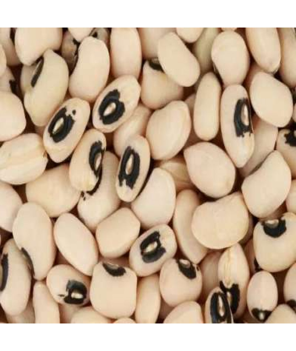 KACANG MATA HITAM 500G / BLACK-EYED PEA 500G