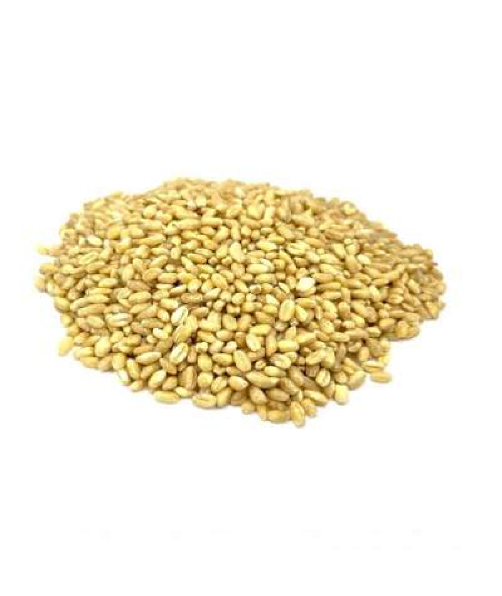 GANDUM / WHEAT 500G