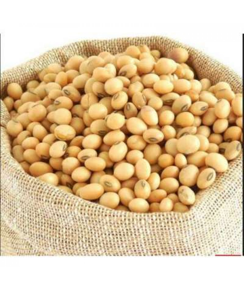 KACANG SOYA 400G / SOYA BEAN 400G 