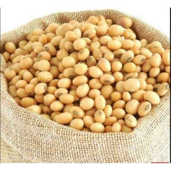 KACANG SOYA 400G / SOYA BEAN 400G 