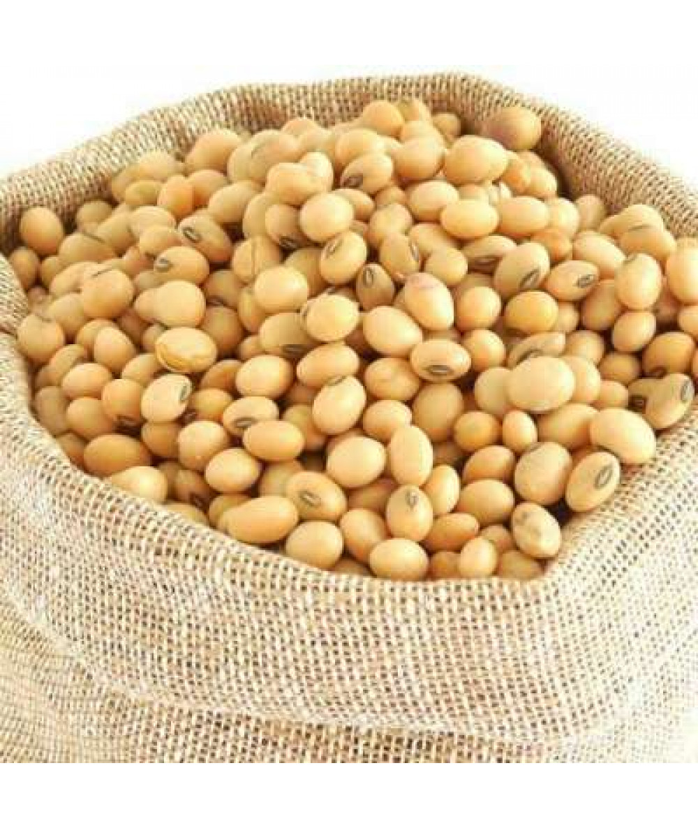 KACANG SOYA 1KG / SOYA BEAN 1KG