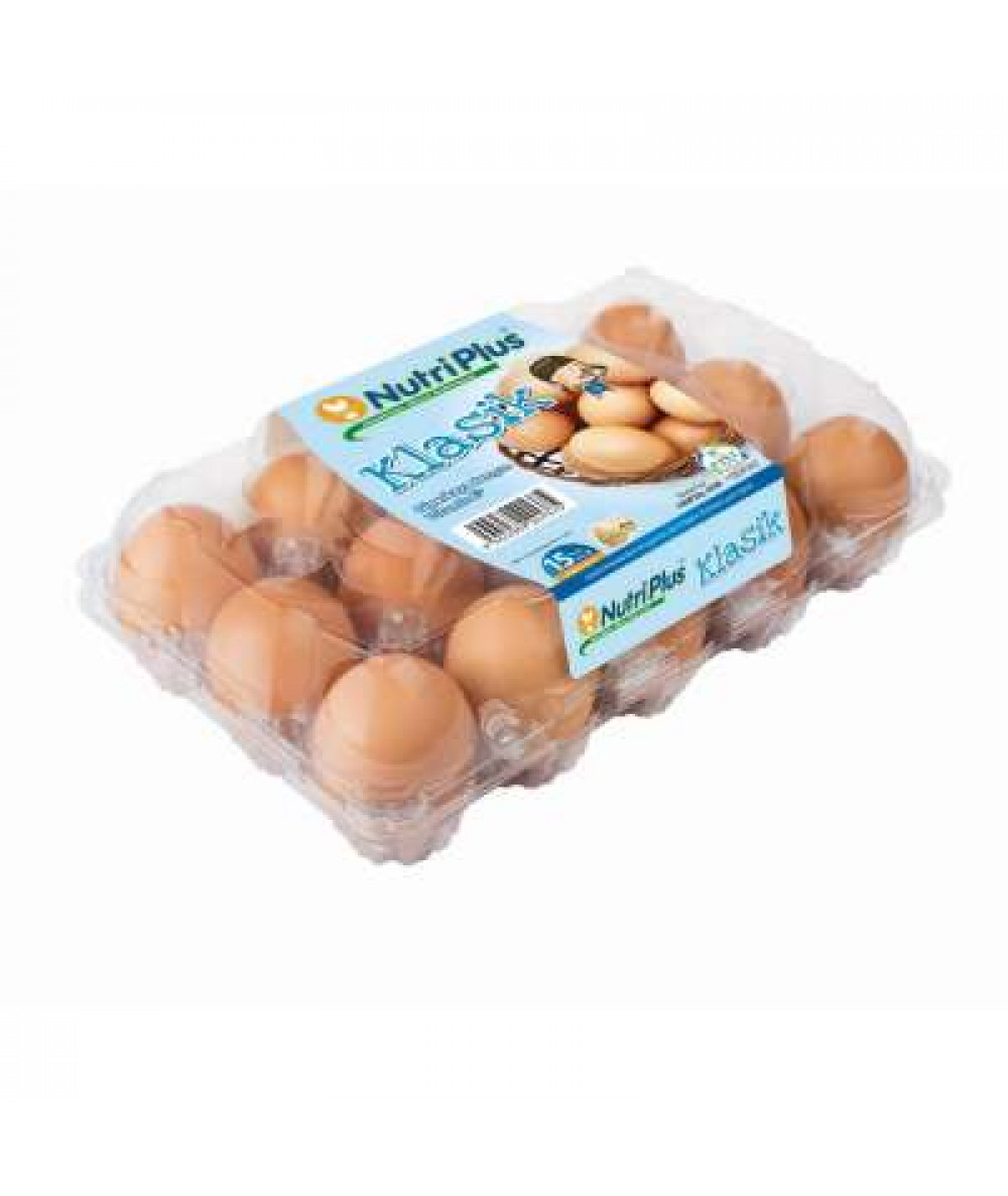 NUTRIPLUS CLASSIC EGGS 15'S (M)