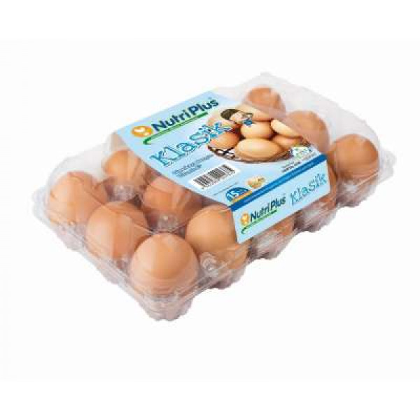 NUTRIPLUS CLASSIC EGGS 15'S (M)