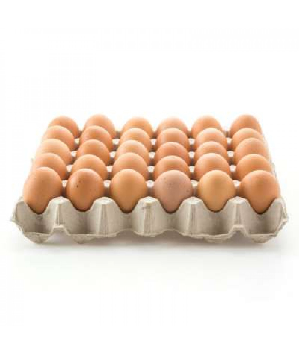 EGG COVER GRADE A 30S