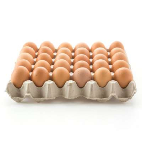 EGG COVER GRADE A 30S