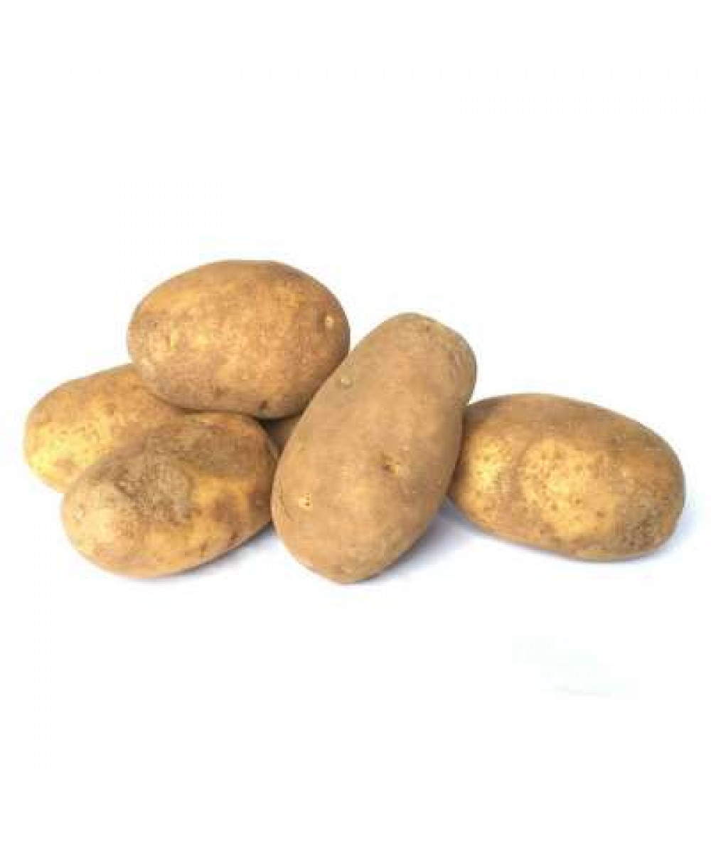 RUSSET POTATO (USA) K22.5 /KG