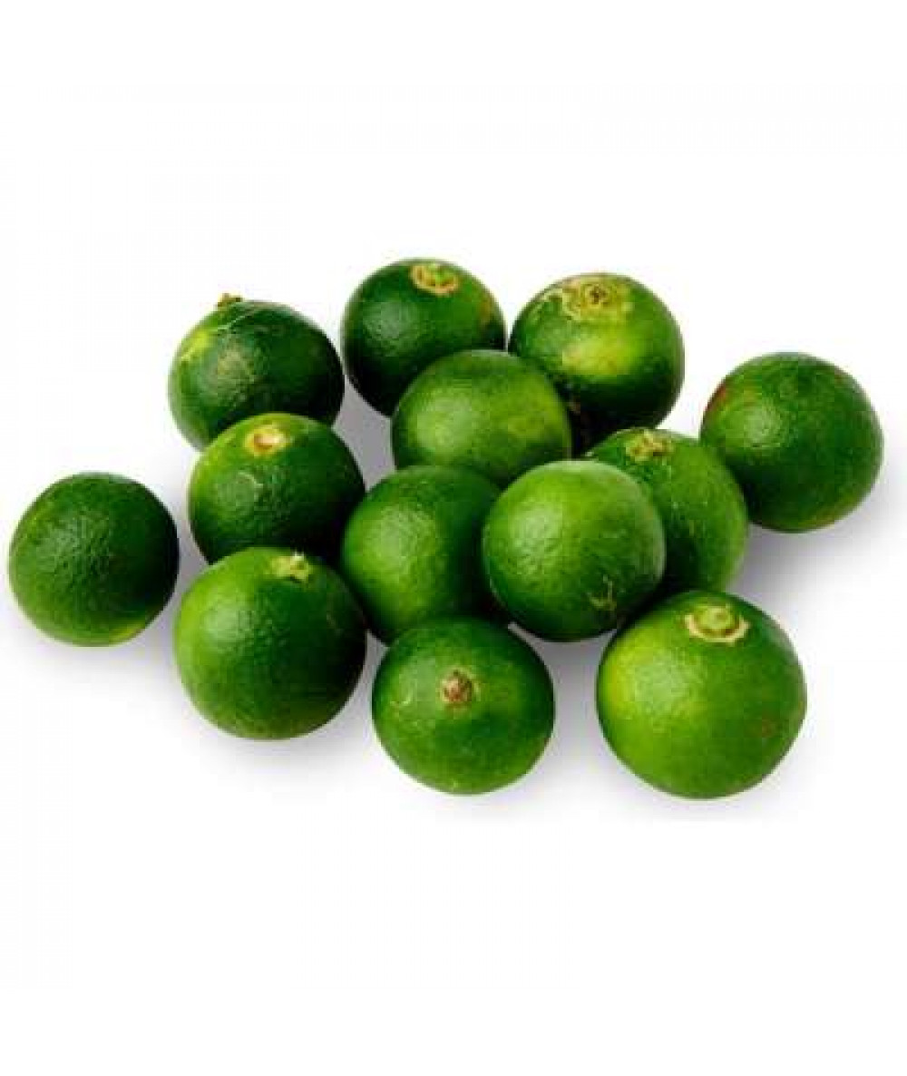 CALAMANSI LIME 'LIMAU KASTURI' /KG