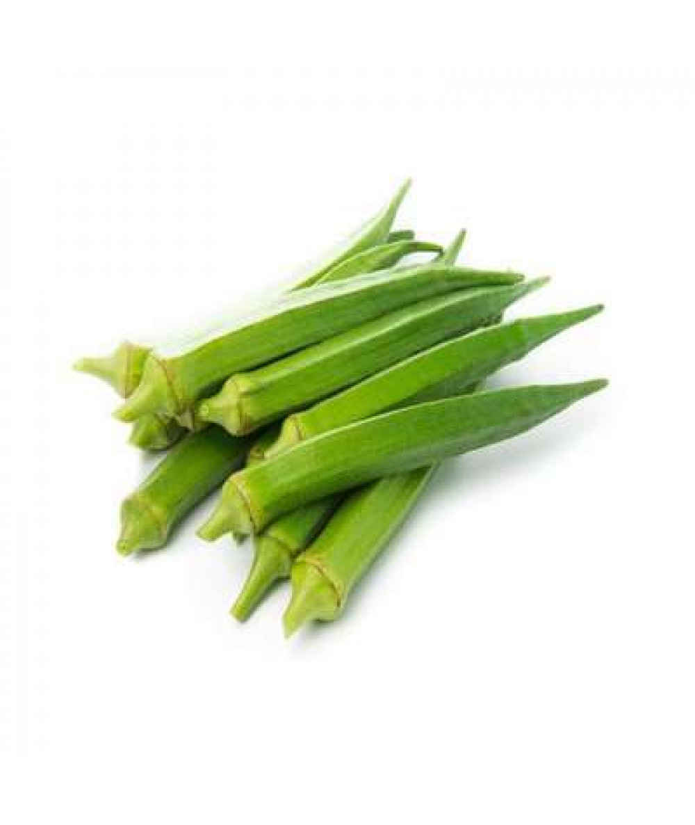 OKRA 'KACANG BENDI' /KG