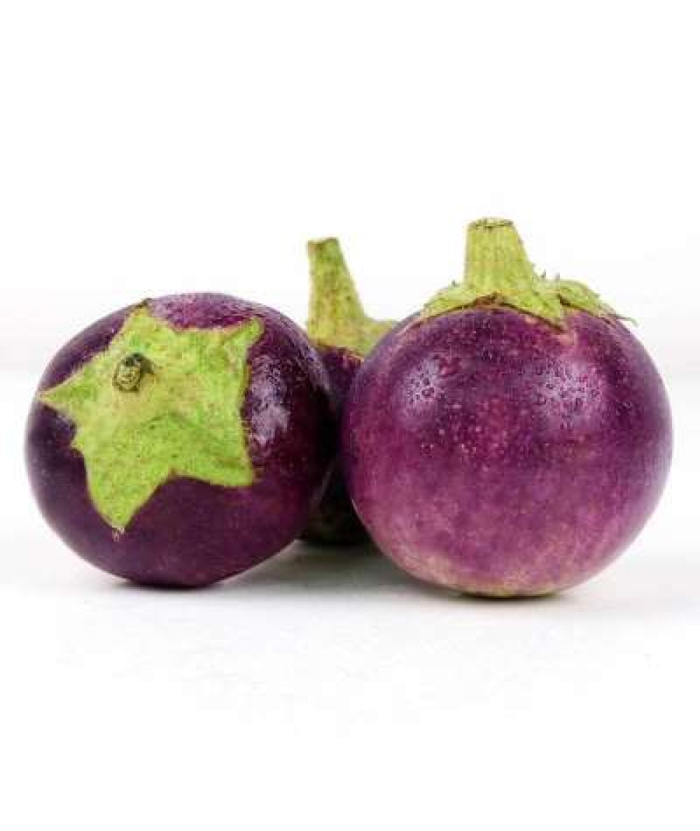 ROUND BRINJAL 'TERUNG BULAT' /KG