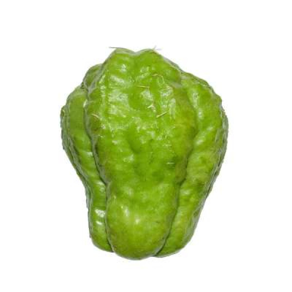 ENGLISH GOURD 'CHAYOTE' /KG