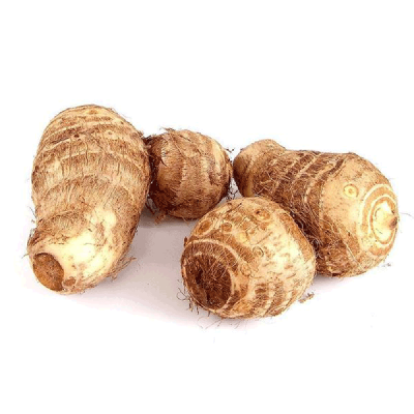 MINI TARO 'YAM' (CHN) K10 /KG