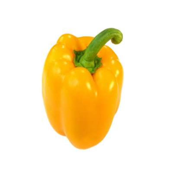 YELLOW CAPSICUM /KG