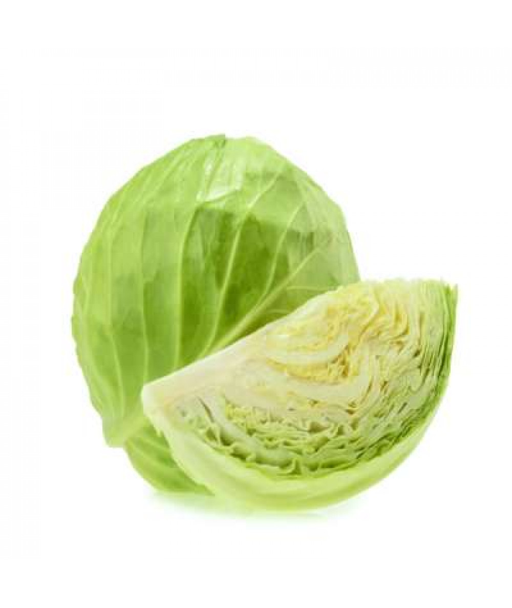 ROUND CABBAGE 'CAMERON' /KG