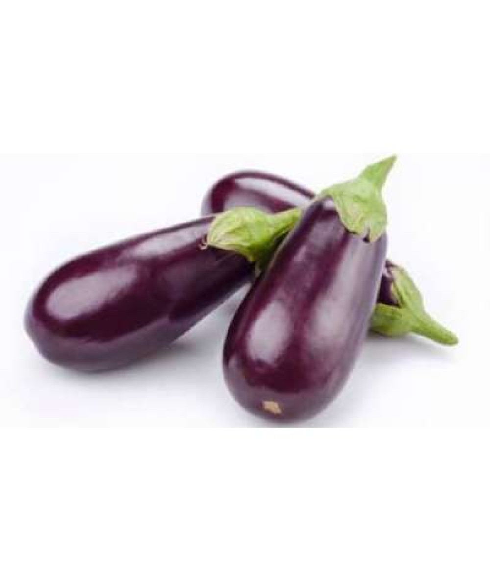 TERUNG PENDEK ' SHORT BRINJAL'  /KG