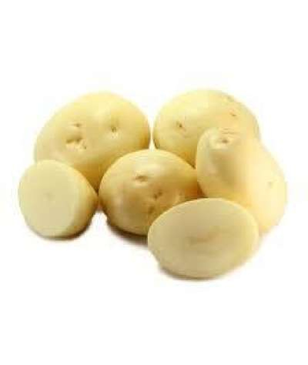 WASH POTATO (AUS) K20 /KG