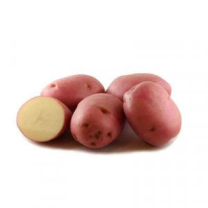 PINK POTATO (AUS) K20 /KG