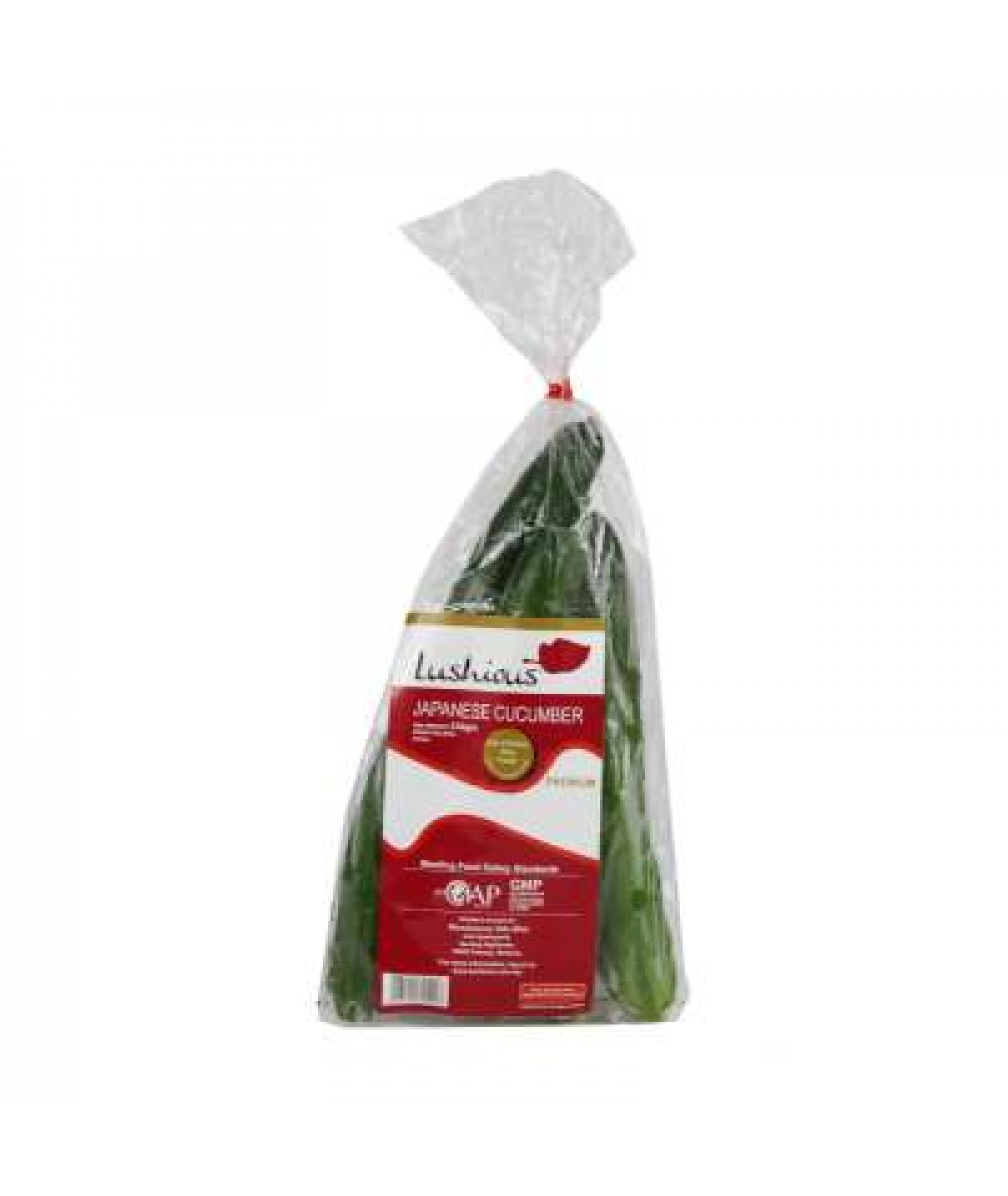 LUSHIOUS JAPANESE CUCUMBER 330G+/-