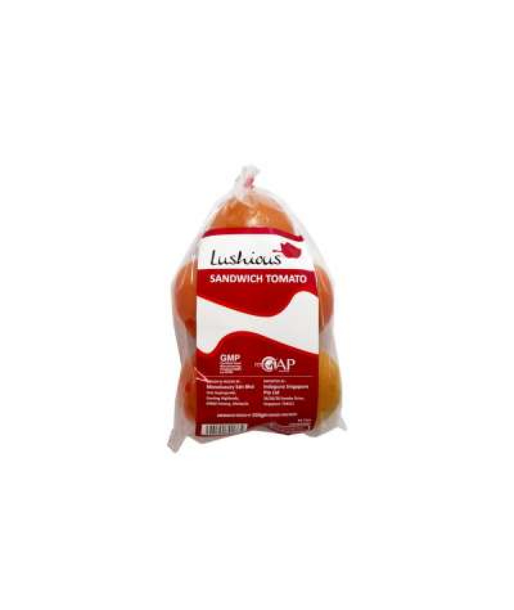 LUSHIOUS SANDWICH TOMATO 550G+/-