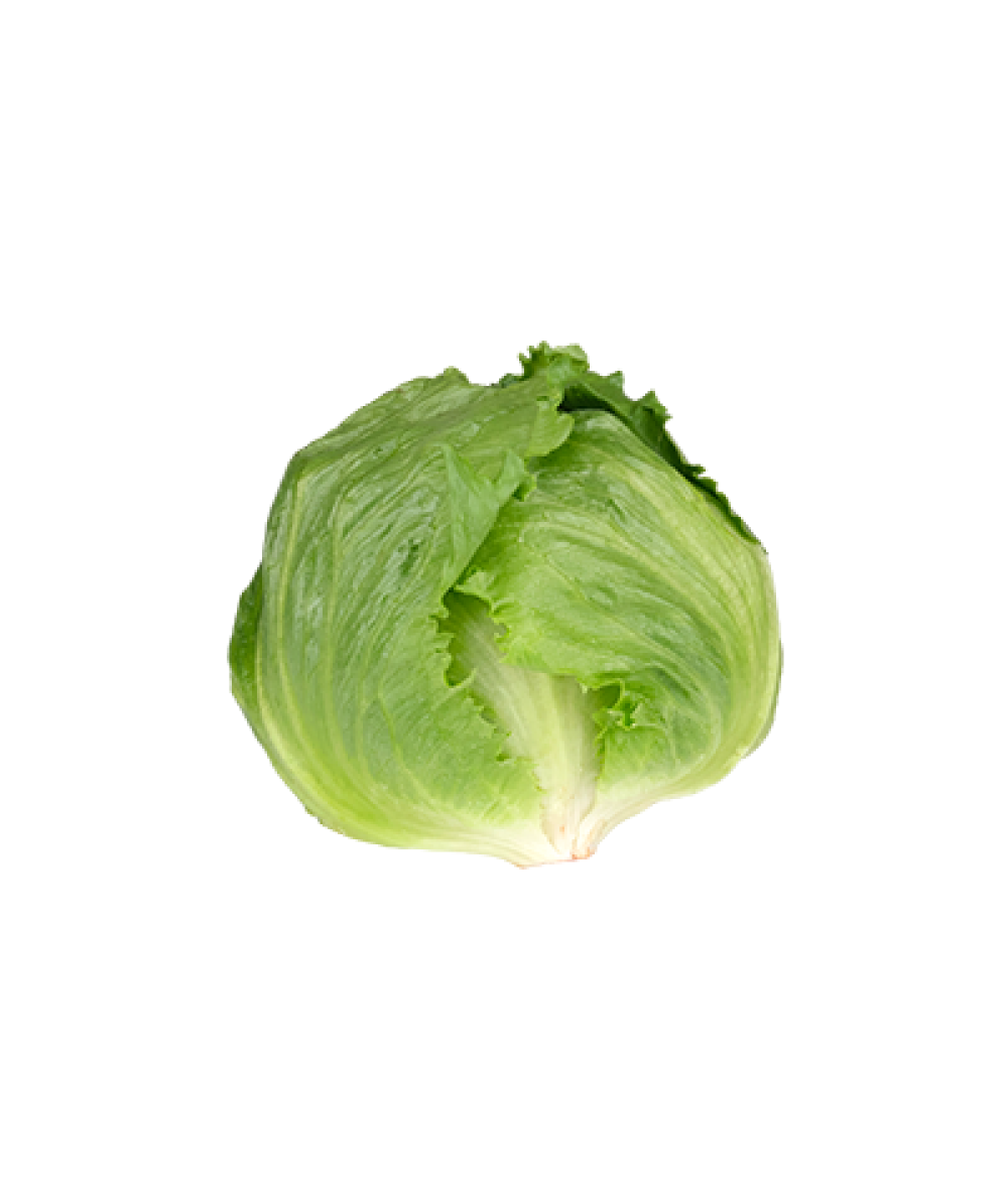 AGROFRESH ICEBERG LETTUCE 400G+/-