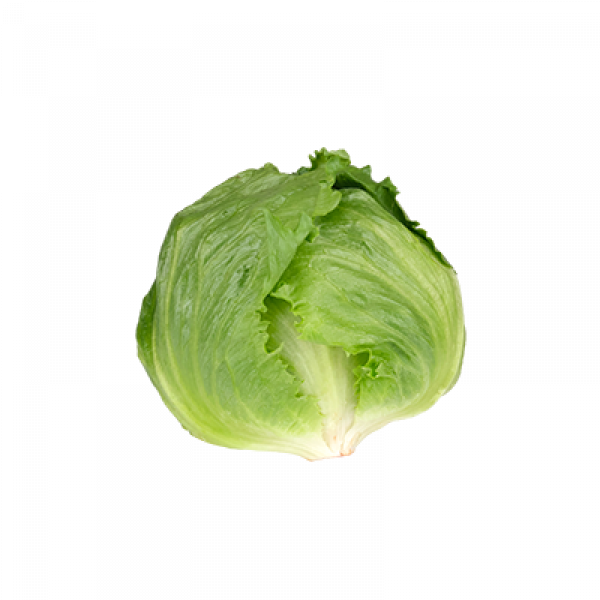 AGROFRESH ICEBERG LETTUCE 400G+/-