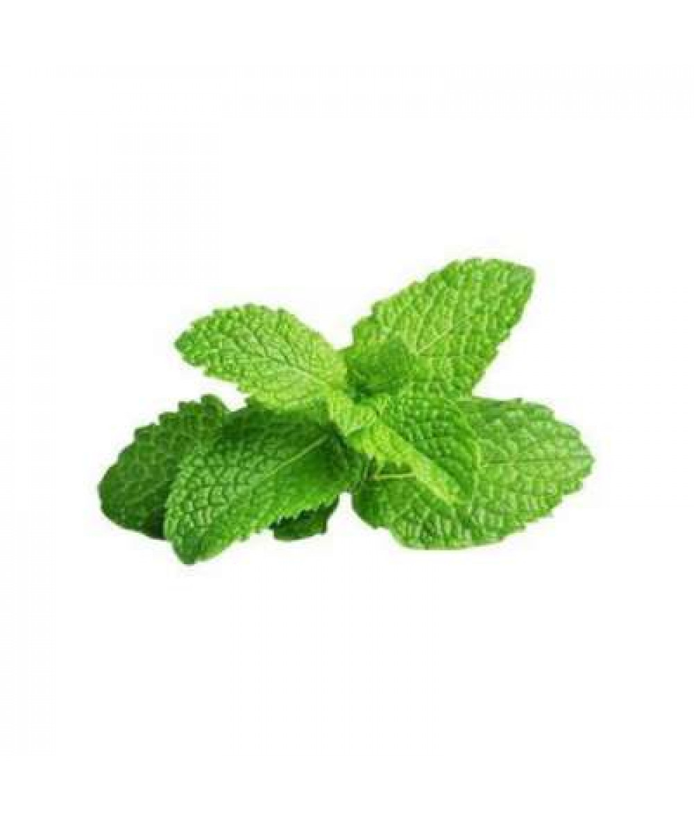 AGROFRESH MINT LEAF 100G+/-