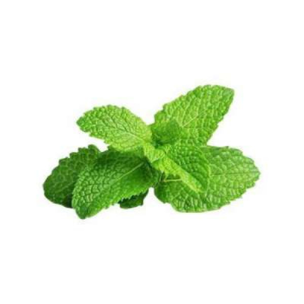 AGROFRESH MINT LEAF 100G+/-