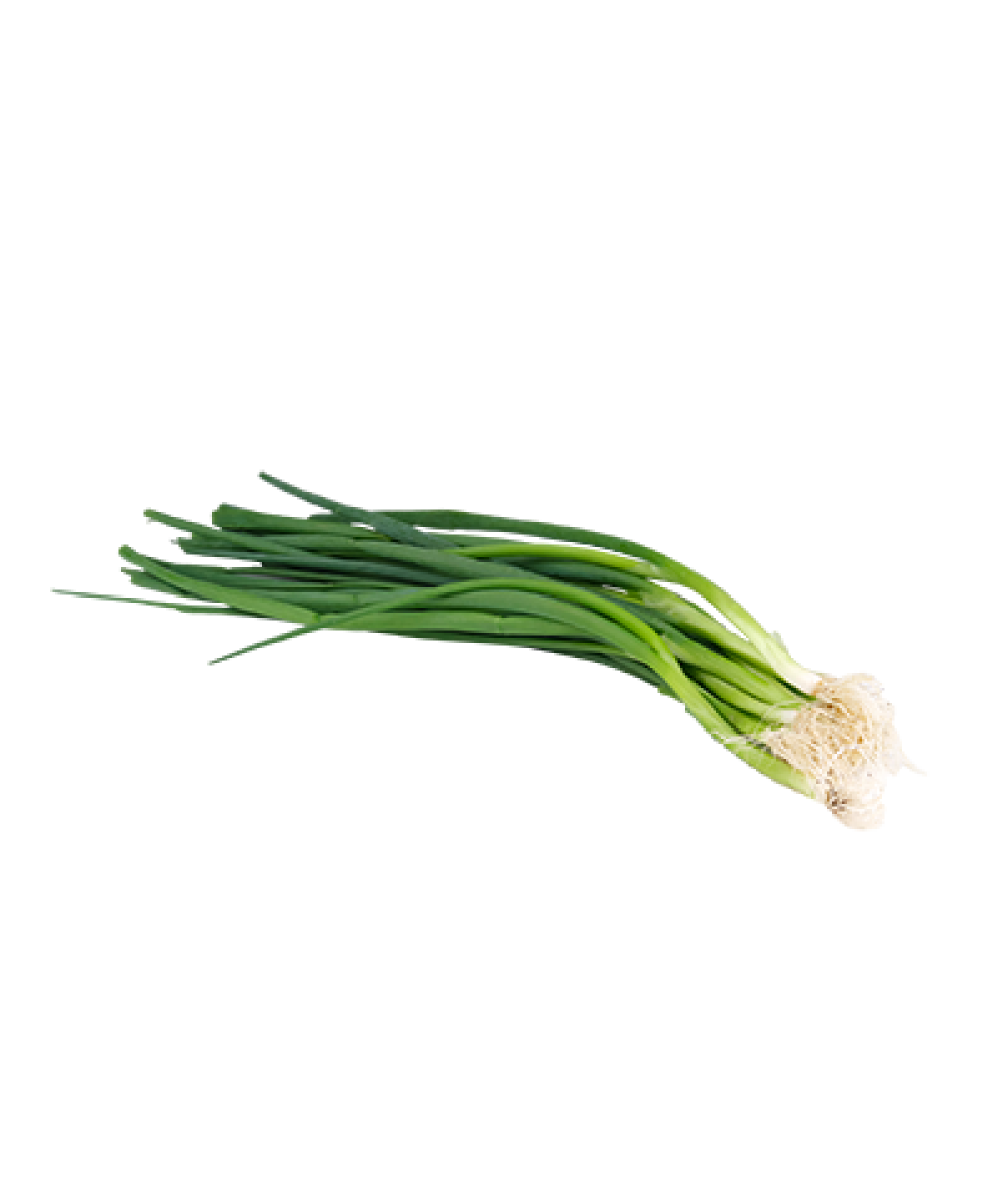 AGROFRESH SPRING ONION 100G+/-