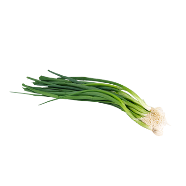 AGROFRESH SPRING ONION 100G+/-