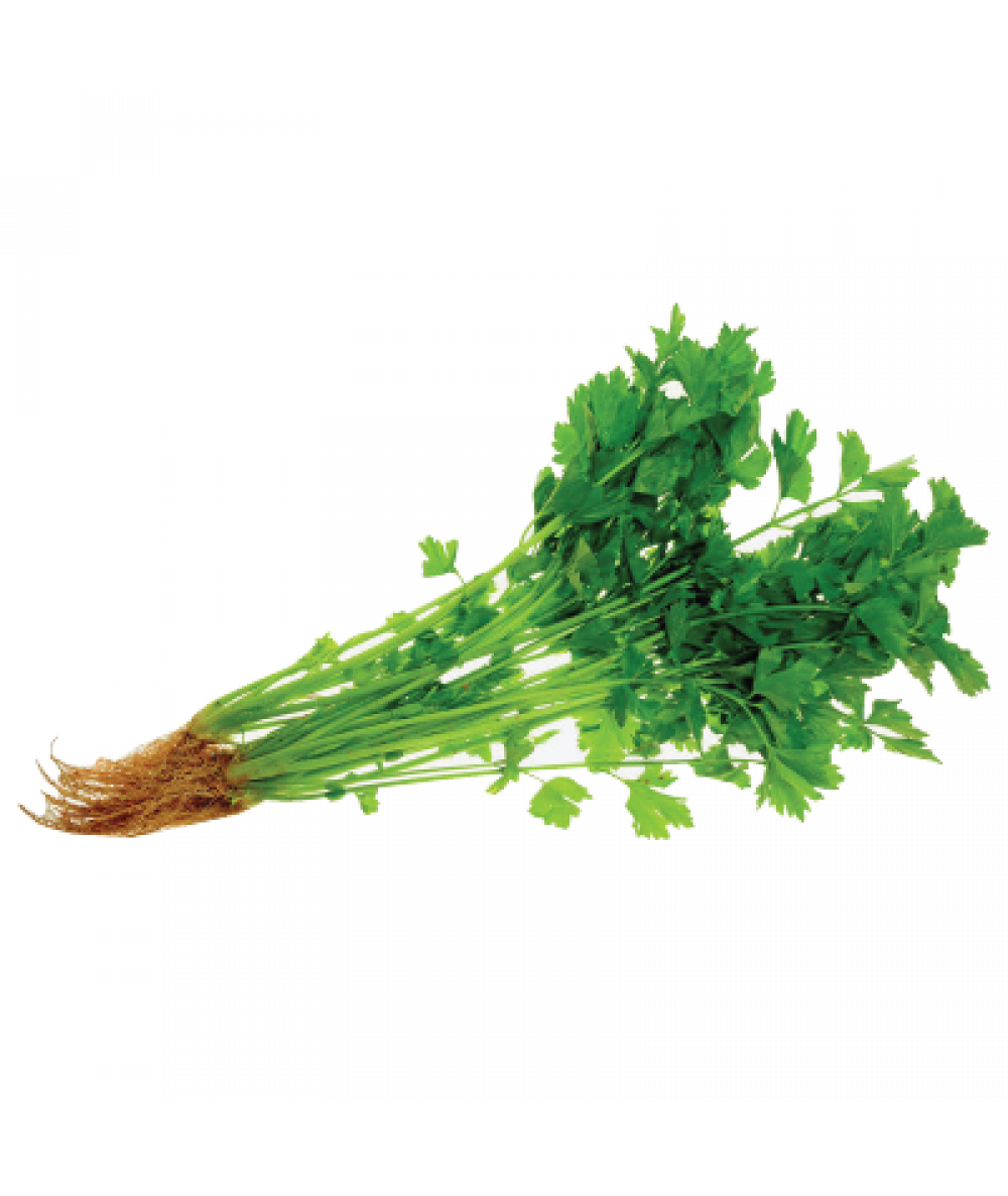 AGROFRESH CHINESE CELERY 100G+/-