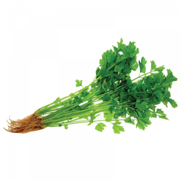 AGROFRESH CHINESE CELERY 100G+/-