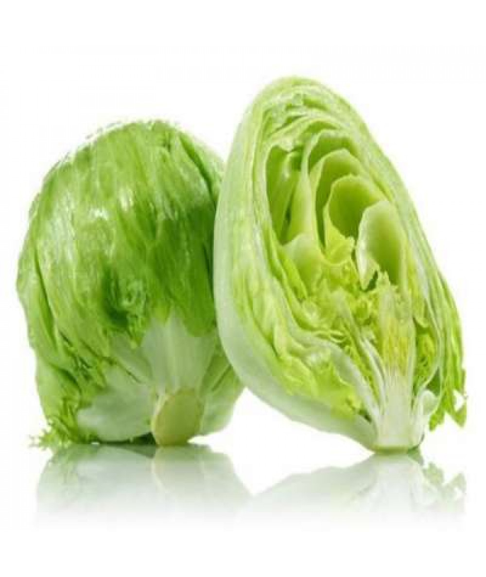 THE FARMER FRESH ICEBERG LETTUCE 350G+/-