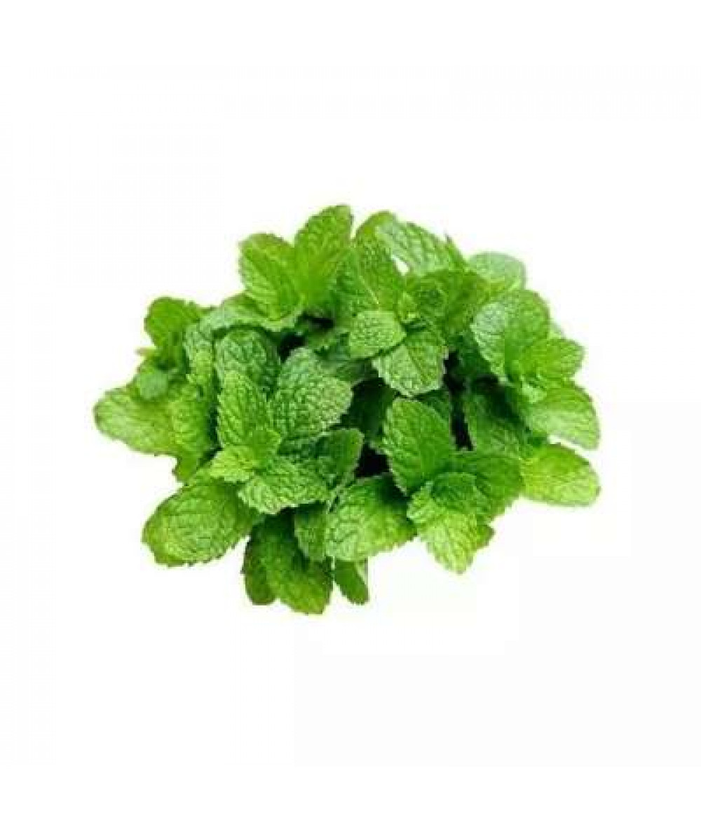 THE FARMER MINT LEAF 100G+/-