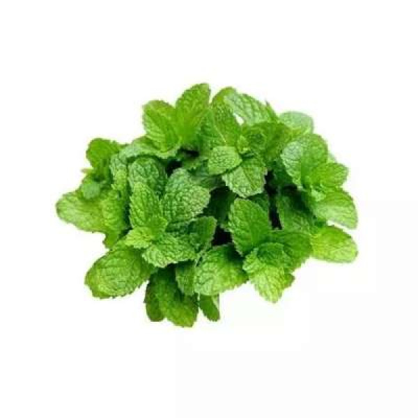 THE FARMER MINT LEAF 100G+/-