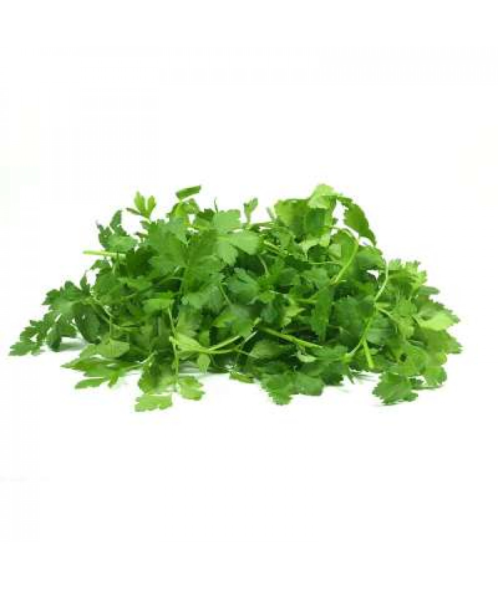 THE FARMER HERBS-ITALIAN PARSLEY 10G+/-