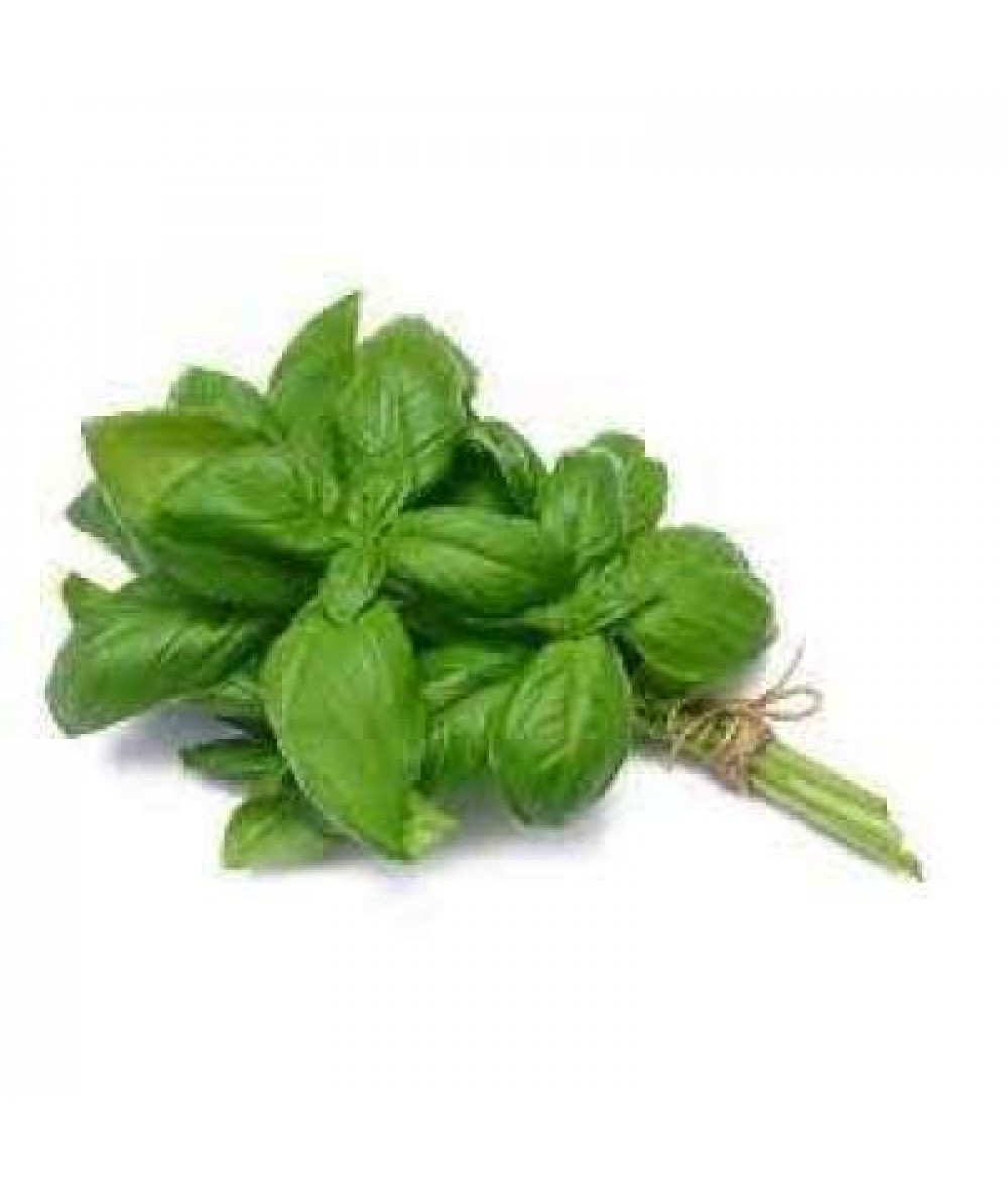 THE FARMER HERBS-SWEET BASIL 50G+/-