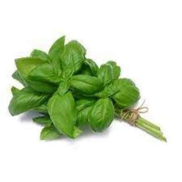 THE FARMER HERBS-SWEET BASIL 50G+/-