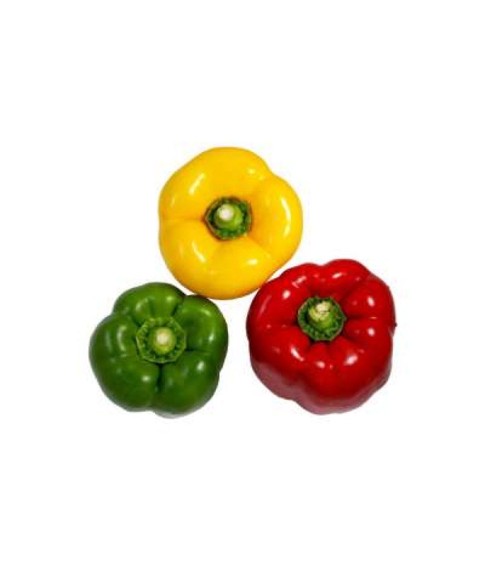 THE FARMER TRAFFIC LIGHT CAPSICUM 3PCS