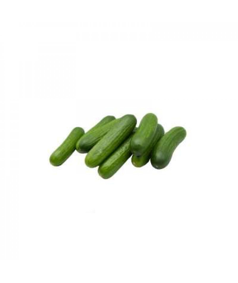 THE FARMER ROMILINO CUCUMBER 500G+/-