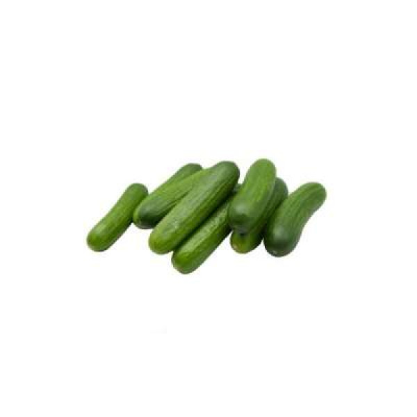 THE FARMER ROMILINO CUCUMBER 500G+/-