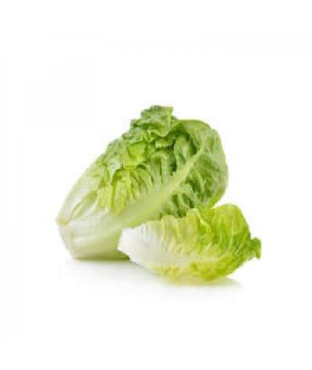 THE FARMER BABY ROMAINE 250G+/-