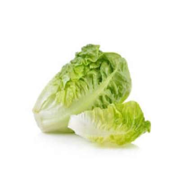 THE FARMER BABY ROMAINE 250G+/-