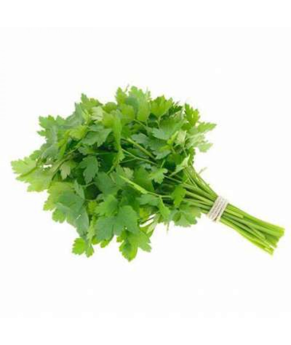 THE FARMER CELERY LEAF 100G+/-