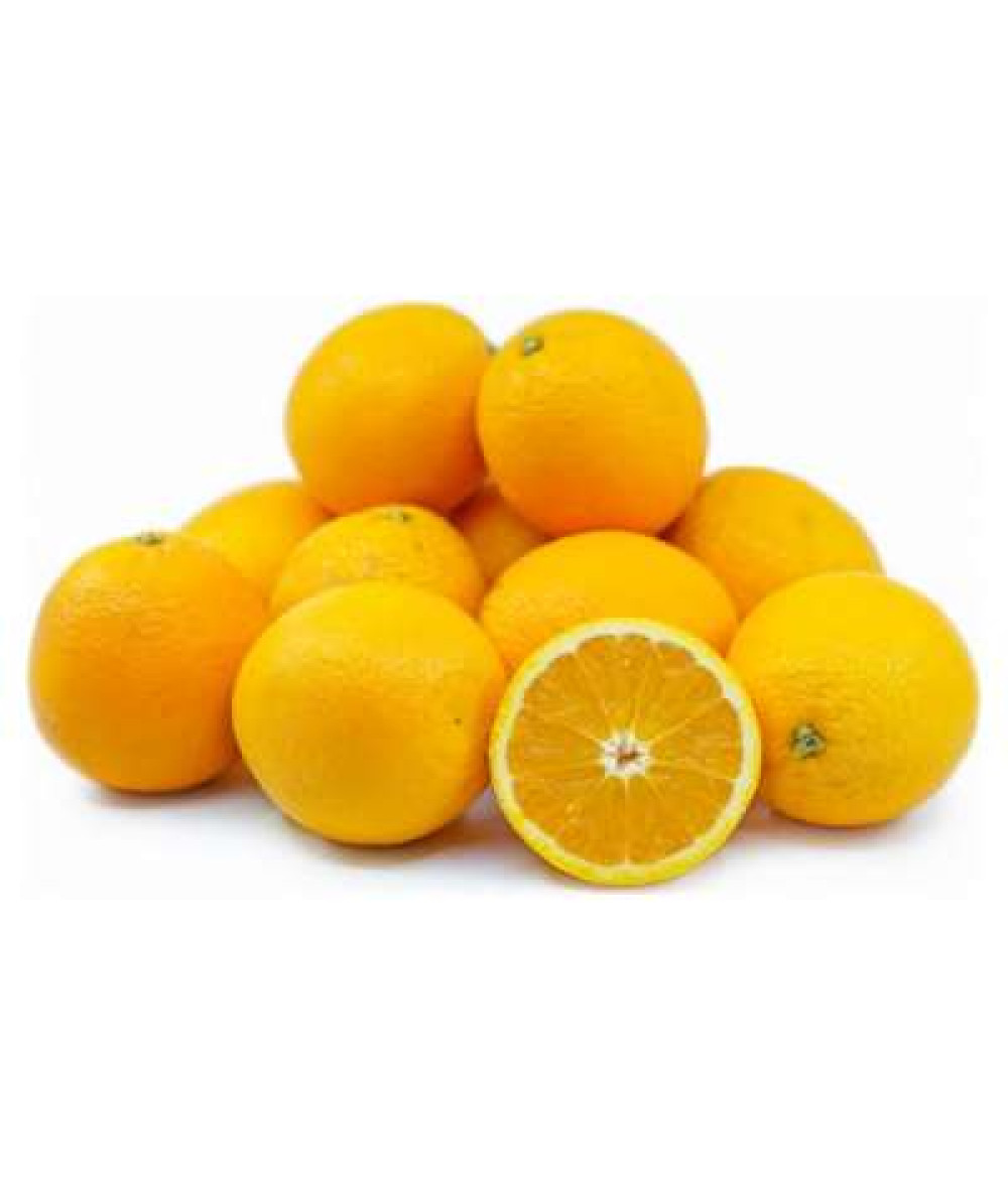 VALENCIA ORANGE S (ZAF) 10PCS